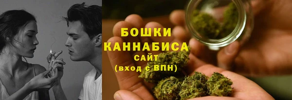 прущие крисы Вяземский