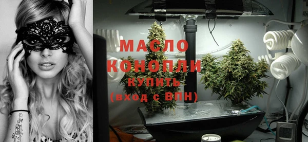 прущие крисы Вяземский