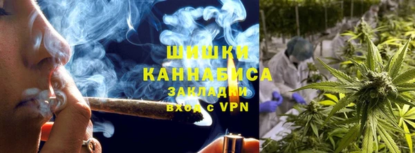 прущие крисы Вяземский