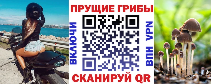Купить закладки  Отрадная  Галлюциногенные грибы MAGIC MUSHROOMS 